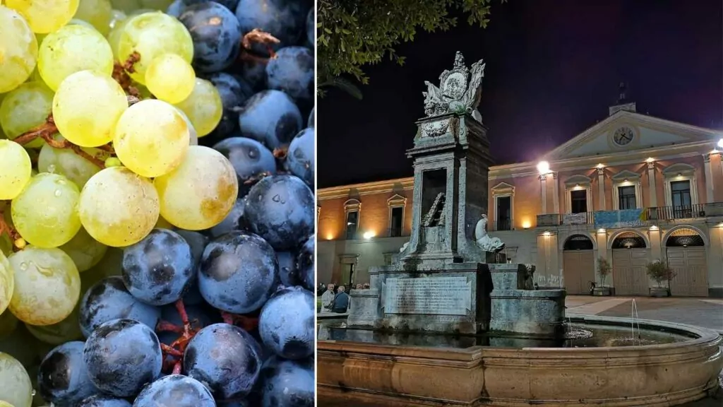 Festa dell'uva fragola a Marcianise: quando si farà