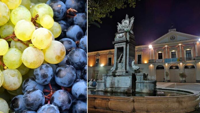 Festa dell'uva fragola a Marcianise: quando si farà