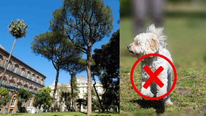 Perché sono stati vietati i cani nei giardini del Palazzo Reale
