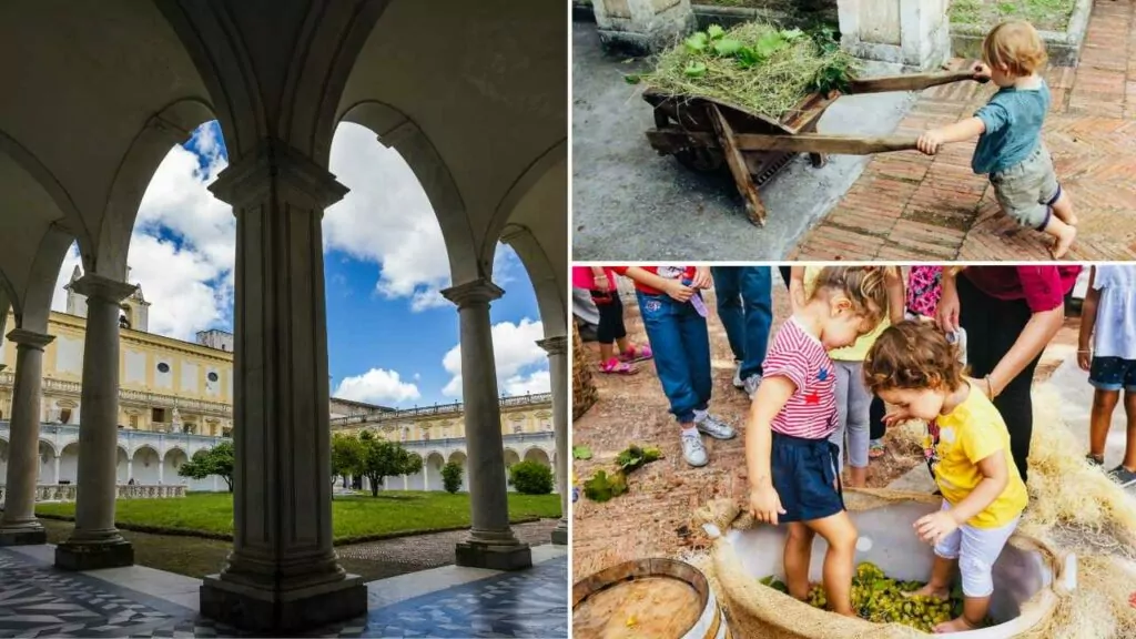 Vendemmia speciale nella Certosa di San Martino: evento gratuito