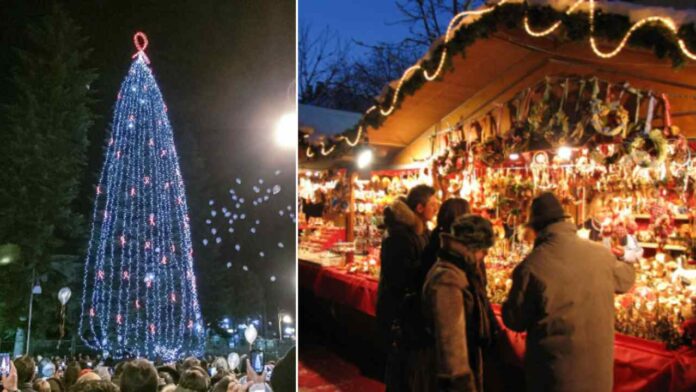 La commovente storia di Caposele, come è nato l’albero più grande d’Europa